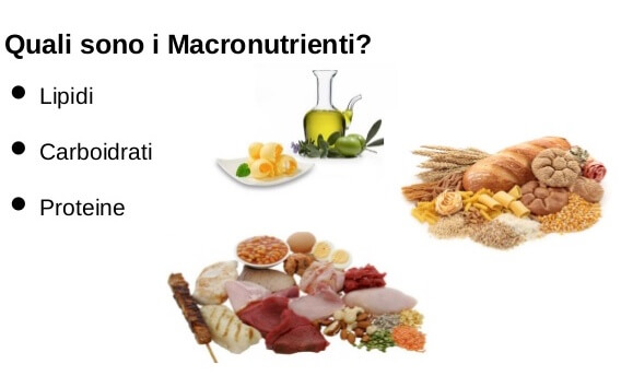 Quali sono i macronutrienti