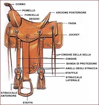 Sella per cavalli