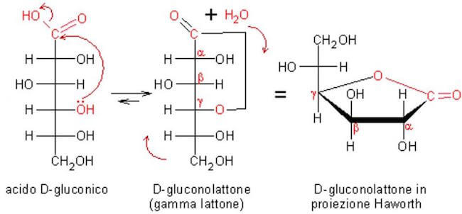 D-gluconolattone, lattone dell'acido gluconico