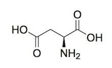 Acido L-aspartico