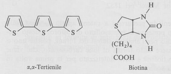 biotina e α,α-tertienile