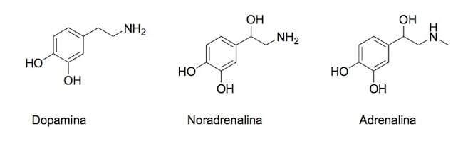 Le catecolamine dopamina, noradrenalina e adrenalina