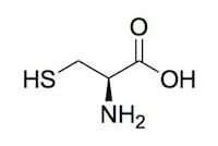 Struttura della cisteina