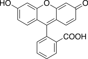 fluoresceina
