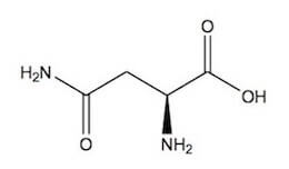 L-asparagina struttura chimica