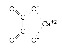 ossalato di calcio