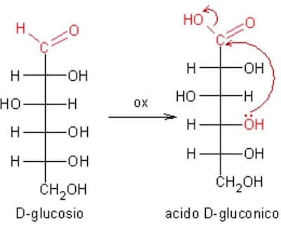 ossidazione acido gluconico