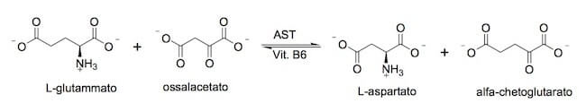Sintesi aspartato