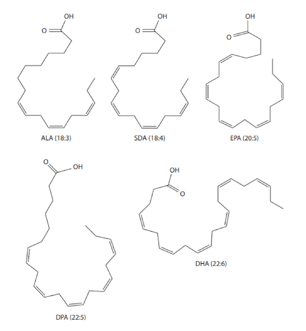 Struttura chimica degli acidi grassi polinsaturi omega-3