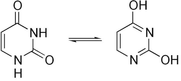 forma chetonica (lattamica) e forma di-enolica (di-lattimica) dell'uracile
