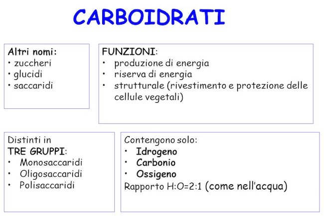 carboidrati: altri nomi, funzioni  e classificazione
