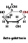 galattosio