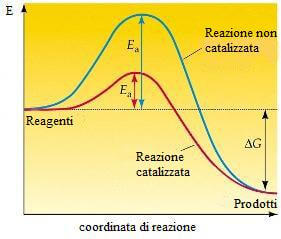 catalizzatori