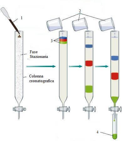 cromatografia su colonna