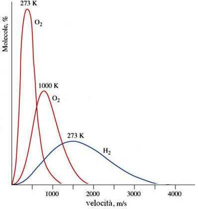distribuzione di maxwell boltzmann