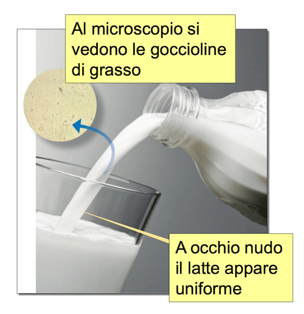 Latte al microscopio