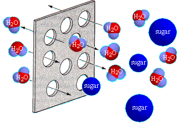 membrana a setaccio molecolare