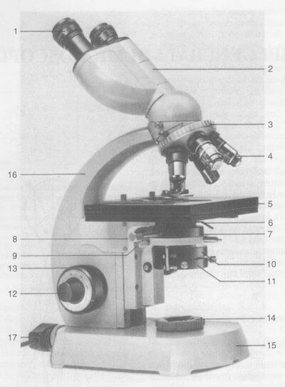 Microscopio ottico