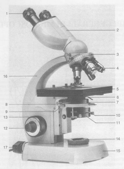 https://www.chimica-online.it/download/immagini_download/microscopio-ottico.jpeg