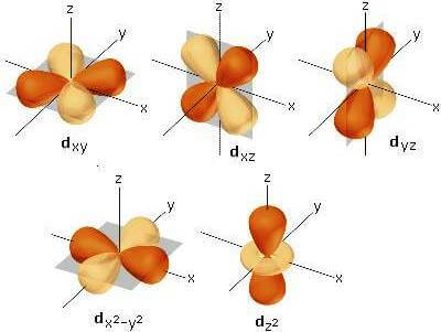 orbitali d