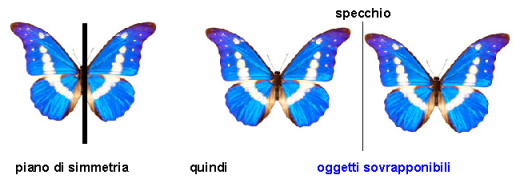 piano di simmetria di una farfalla