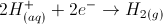 elettrodo standard idrogeno