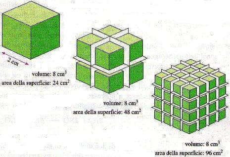 superficie di contatto