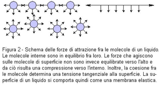 tensione superficiale di un liquido