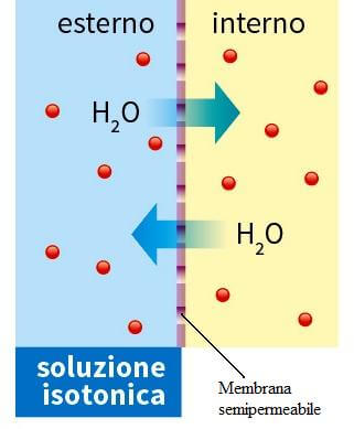 soluzione isotonica