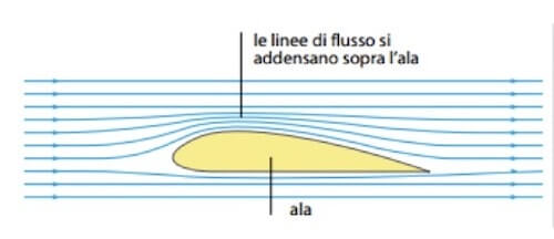 Ala e legge di Bernoulli