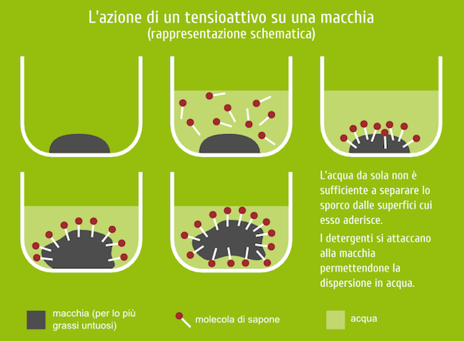 azione detergente