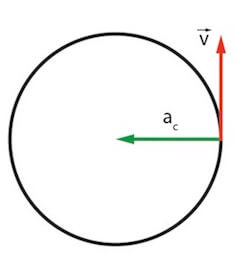 direzione accelerazione centripeta