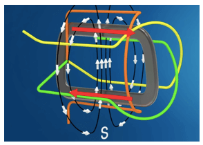 Forze magnetiche agenti su un rotore