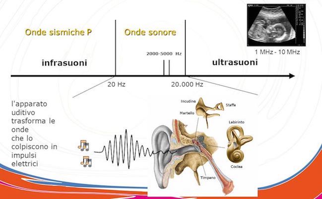 frequenza ultrasuoni