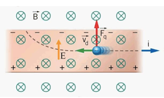 Lamina immersa in un campo magnetico