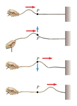 onda di una corda