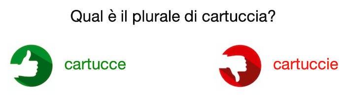Cartucce o cartuccie