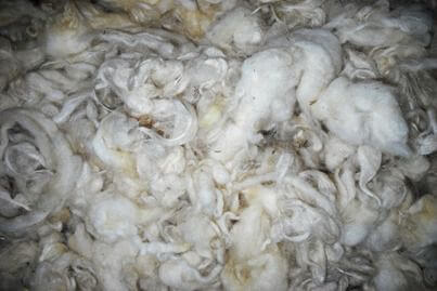 lana greggia