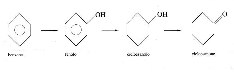 sintesi del cicloesanone
