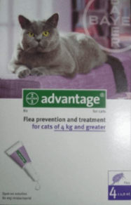 antiparassitari per gatti oltre i 10 kg