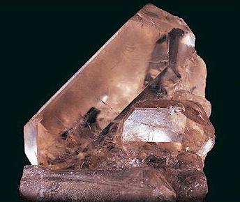 cainite