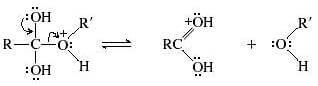 acido carbossilico protonato