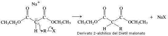 alchilazione del sale sodico