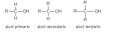 alcol primario secondario terziario