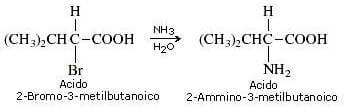 alfa-amminoacidi