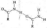 ammidilegami idrogeno