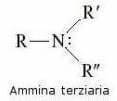 ammina terziaria