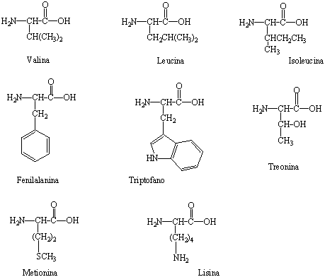 amminoacidi essenziali