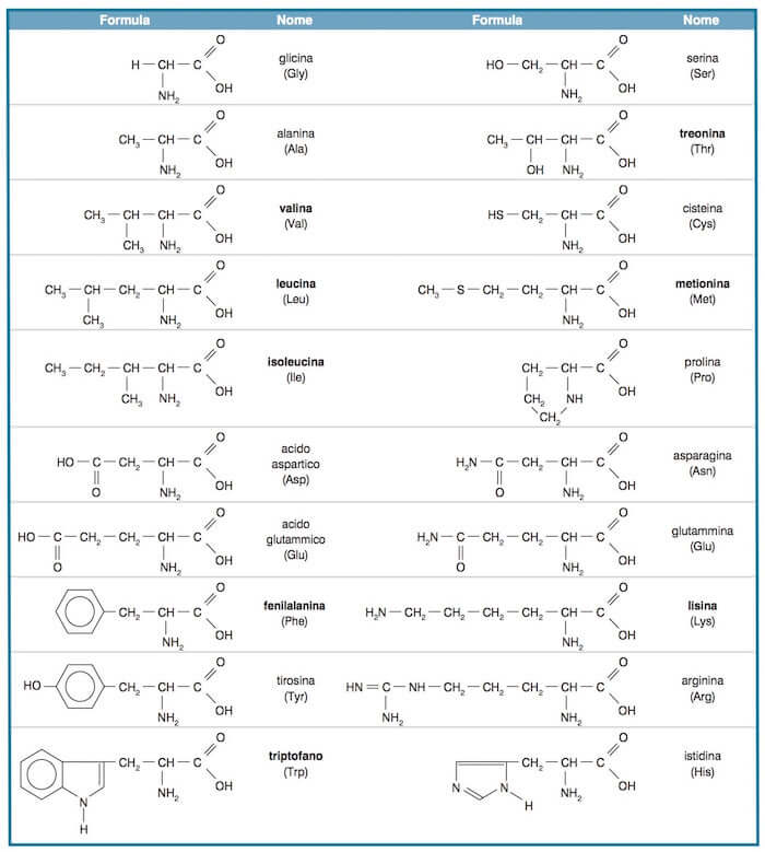 formule e nomi dei 20 amminoacidi presenti negli organismi viventi