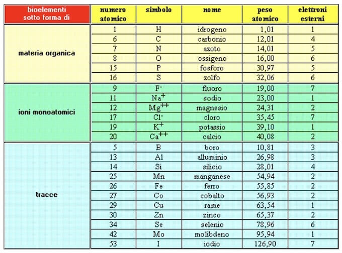 bioelementi